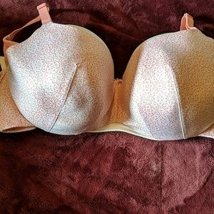 Cacique Lane Bryant bra 40G